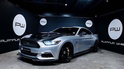 2021 FORD SHELBY TERLINGUA 5.0